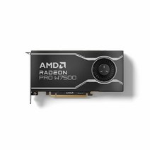 AMD AMD 라데온 PRO W7500 D6 8GB