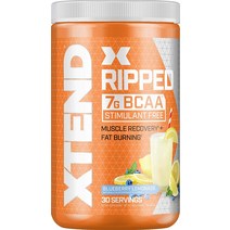 XTEND 찢어진 BCAA 파우더 블루 베리 레모네이드