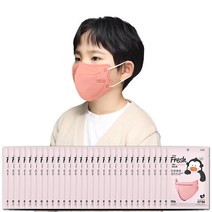 에버프레쉬 에어 마스크 KF94 소형 새부리형, 1개입, 100매, 코랄