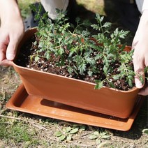 학교 음식점 직사각 플라스틱 텃밭화분 관공서 거실화분 다용도실, 브라운