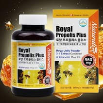 로얄 프로폴리스 플러스 향산화영양제 직장인프로폴리스