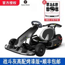 세그웨이 나인봇 고카트 프로 카트라이더 드리프트 레이싱, 60V, B