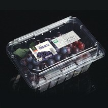 태방파텍 포장용기 TB-101-8 [포도 800g] / 과일트레이 과일포장용기 농산물포장 식품포장재