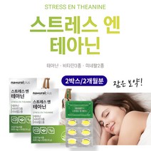 스트레스 엘 테아닌 250 mg 마그네슘 아연 바티민 B C 깊은 잠 잘오는 수면 유도 40대 50대 60대 남편 직장인 선물 신경 안정 보조 제 L 태아닌 영양제 약 국 추천