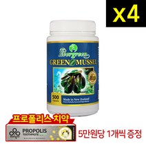 에버그린 에버그린 초록입홍합 5000mg 500캡슐 4개