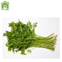 국내산 미나리 둥치미나리 박스미나리 1단 1Kg, 박스미나리 1Kg, 1개