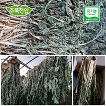 초록한입 유기농 건 시래기500g(자연건조) 사은품, 1봉, 500g