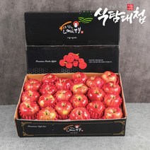 명절 선물세트 경북 명품사과 5kg (중소과 19-22과), 없음