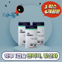 닥터루템 그린프로폴리스 60g 사은품증정, 3개, 60캡슐