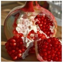 허브야닷컴 석류 추출물, 500ml