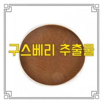 소율국제 구스베리 양까치밥 나무 열매 고농축 추출물 분말, 10:1, 500g, 1개