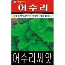 [워터트리몰] 채소 종자 재배 씨앗 어수리씨앗(50립) (A)