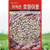 키작은호랑이콩 비넝쿨 씨앗 강낭콩 씨 종자 30g, 1개