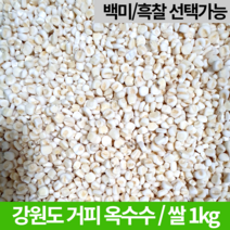 강원도 국내산 말린 찰 껍질깐 거피 옥수수 쌀 알 갱이 강냉이 잡곡 홍천옥수수 범벅 1kg 1키로 미백 흑찰, 말린옥수수 1kg (미백)