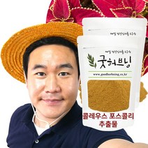 콜레우스 포스콜리 추출물 분말 가루 250g 굿허브닝, 250g x 2팩