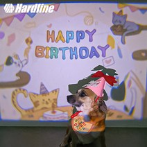 하드라인 강아지 고양이 생일빔 미니빔 포토존 인생샷 생일파티 파티용품 반려동물 빔프로젝터 배경, 울멍뭉생일, 고깔모자(블루), 선택없음