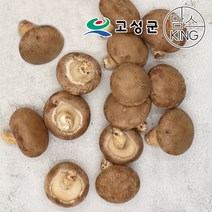 [공룡나라]고성 웅이표고농장 생표고버섯(생표고 중품1kg), 1개