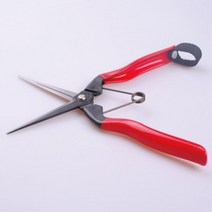 과수원 과일 시금치 뿌리절단 원예가위 채과 귤밭