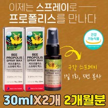 목에 뿌리는 프로폴리스 좋은 영양제 유해 산소 항산화제 구취 제거 관리 남성 남자 구강 건강 항산화 기능성 식약처 인증 플라보노이드 17mg bee propolis 뉴질랜드 직수입