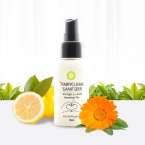 페어리클린 손소독제 스프레이 55ml, 1개