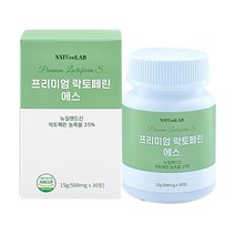프리미엄 락토페린 에스 100% 뉴질랜드산 락토페린 초유 단백질 유산균, 1개(배송비포함)