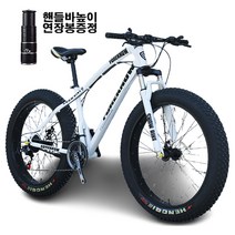쇼핑타임 4.0 산악 광폭 타이어 자전거 팻바이크 30단 [국내착불배송] 상세페이지 체크요망 (사은품 증정), 스카이블루, 20인치