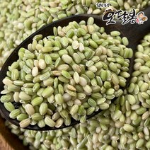 힘찬농부오달봉 2022년산 국산 녹미 녹진주 녹색쌀, 1개, 2kg