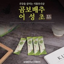 곰보배추 어성초 발효 분말차1박스 30포 식물유산균 바이오 발효식품도라지 유익균증가 유해균감소 가족건강 자연주의 스틱형