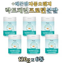뉴질랜드산 분리유청단백질 락토페린 프로틴 분말 초유 단백질 가루 보충제 쉐이크 여성 직장인 주부 30대 40대 50대 자몽오렌지 레몬밤 그린커피빈 농축물 유산균 함유