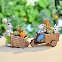 다육이화분 리톱스 아악무 듀가르손 만손초 트리옵스 다육이알뜰장터 다유기, 리어카