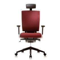 시디즈 T55 시리즈 T550HLDA 기능성의자 더블라셀, 블루