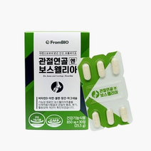 이병헌 프롬바이오 관절연골엔 보스웰리아 30정