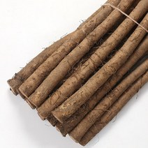 [더조은푸드] [서안동농협] 유명산지 우엉 알뜰(차용) 2kg, 1