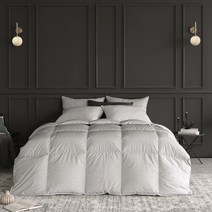 [파르페by알레르망] NEW 데이먼 알러지케어 시베리아 구스 차렵이불 S SS