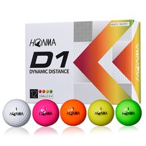 혼마골프정품 2022 NEW D1 2피스 골프공 비거리 병행, 화이트, 12개입