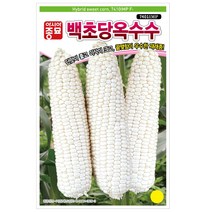 옥수수씨앗종자 백초당 옥수수(7401 IMP)(2000립), 1개