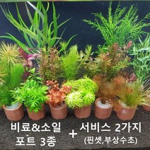 키우기 쉬운 비료&소일 포트수초3종+서비스2종, 3종