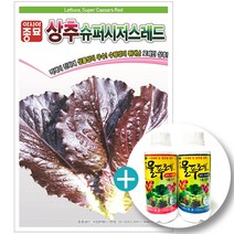 슈퍼시저스레드(1000립)+대유 물푸레 1호 세트-수경재배용 양액비료