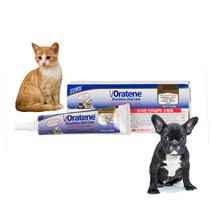 자이목스 안티셉틱 오랄 젤 28g 반려동물 강아지 고양이 구강관리 치약 칫솔, 안티셉틱 오럴젤 28g