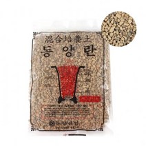 SK511동양란 소 난석식물보호 식물영양제 복합비료 화분 식물보호 화분관리 분갈, 동양란 소