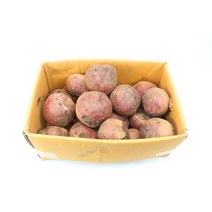 비트 국내산 못난이 비트 상 10kg 행복한식탁