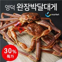 국내산 영덕 최고급 완장박달대게 속이 꽉찬 강구항 수율 90% 이상, 완장 박달대게(특대)1KG이상 (찜), 1개