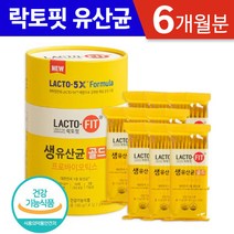 종근당 락토핏 생유산균 골드 대용량 온가족 생 유산균 장건강 분말 가루 스틱 홈쇼핑 전인화 유상균 랏토핏 라토핏 락도핏 코스트코 프로 프리 바이오 틱스, 2통, 90포 (3개월분)