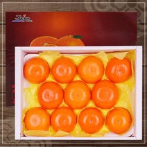 제주 레드향 3kg(10~12과), 단품