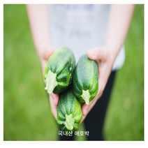 국내산 애호박 1개 못난이 인큐, 못난이 애호박 1입