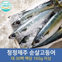 제주고등어 대 30팩 생선구이 맛집, 단품