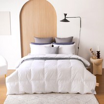 소프라움 [소프라움] 유러피안 구스 이불솜 S(싱글) STANDARD E90, 화이트