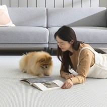 휴팡 멀티 PVC 셀프시공 강아지 롤매트, 양탄자 그레이
