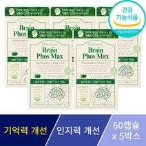 포스파티딜세린 징코 기억력 인지력 개선 은행잎추출물 뇌 두뇌 영양제 수험생 부모님 선물, 5박스