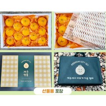 제주 카라향 선물용 3kg 7-18과 만감류 제철과일 제주과일 (선물가방포함)